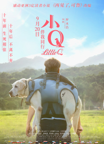 msi显卡